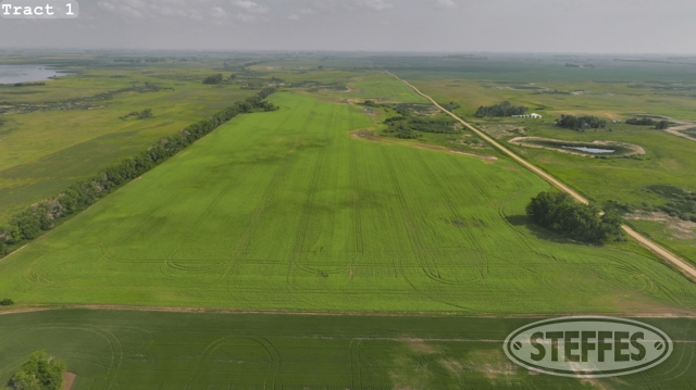 Towner County, ND Land Auction - 640± Acres - SOLD!!