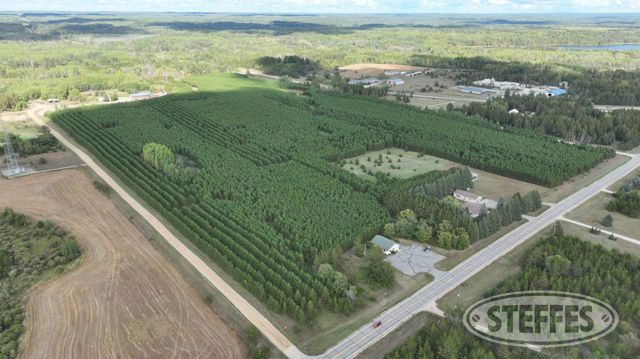 Becker and Hubbard Counties, MN Home & Land Auction - 95± Acres - SOLD