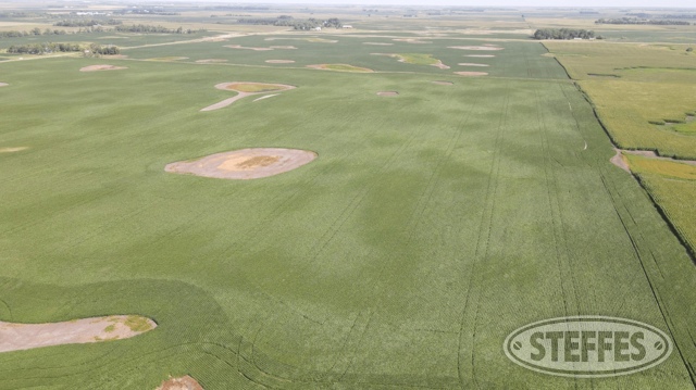 Ransom County, ND Land Auction - 150± Acres - SOLD!!