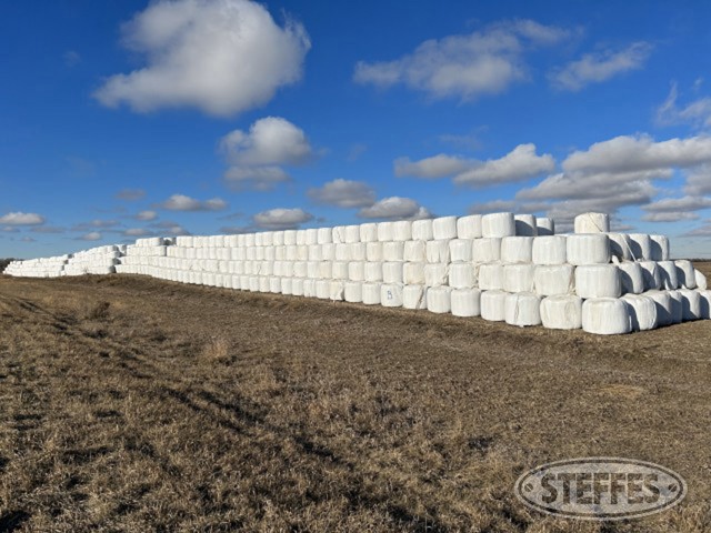Daren Bennett Hay Auction