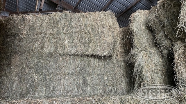 Dodds Farm Hay Auction