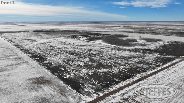 Kittson County, MN Land Auction - 185± Acres - SOLD!!