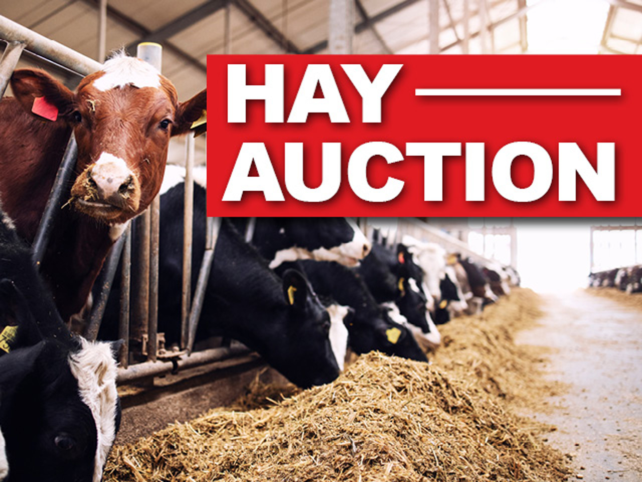 Steffes Group Online Hay Auction Quality Tested Location