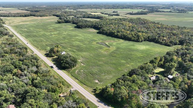 Multi-County, MN Country Homes & Farmland Auction - 1547± Acres