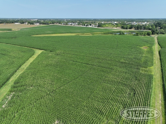 Benton County, MN Land & Farmstead Auction - 329± Acres - SOLD!!!