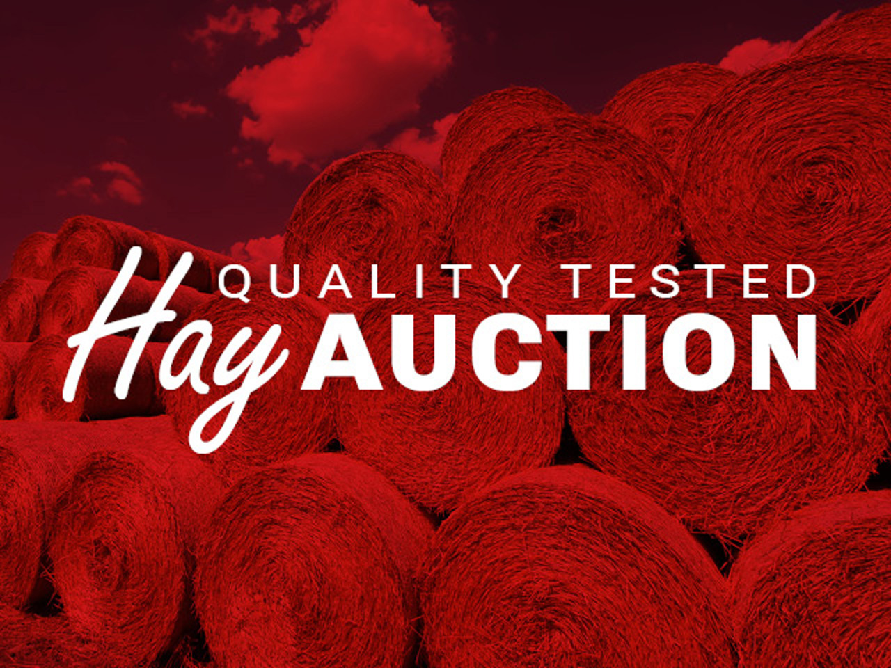 Steffes Group Online Hay Auction Quality Tested steffes-group-online-hay-auction-quality-tested