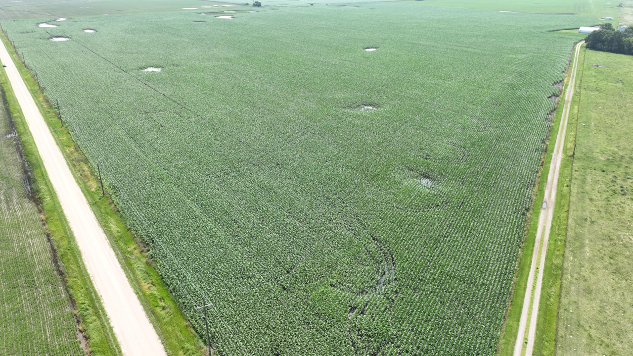 Steffes Group Big Stone County, MN Land Auction 703± Acres SOLD