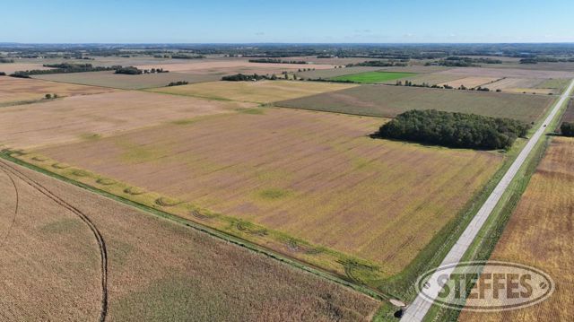 Meeker County, MN Land Auction - 74± Acres