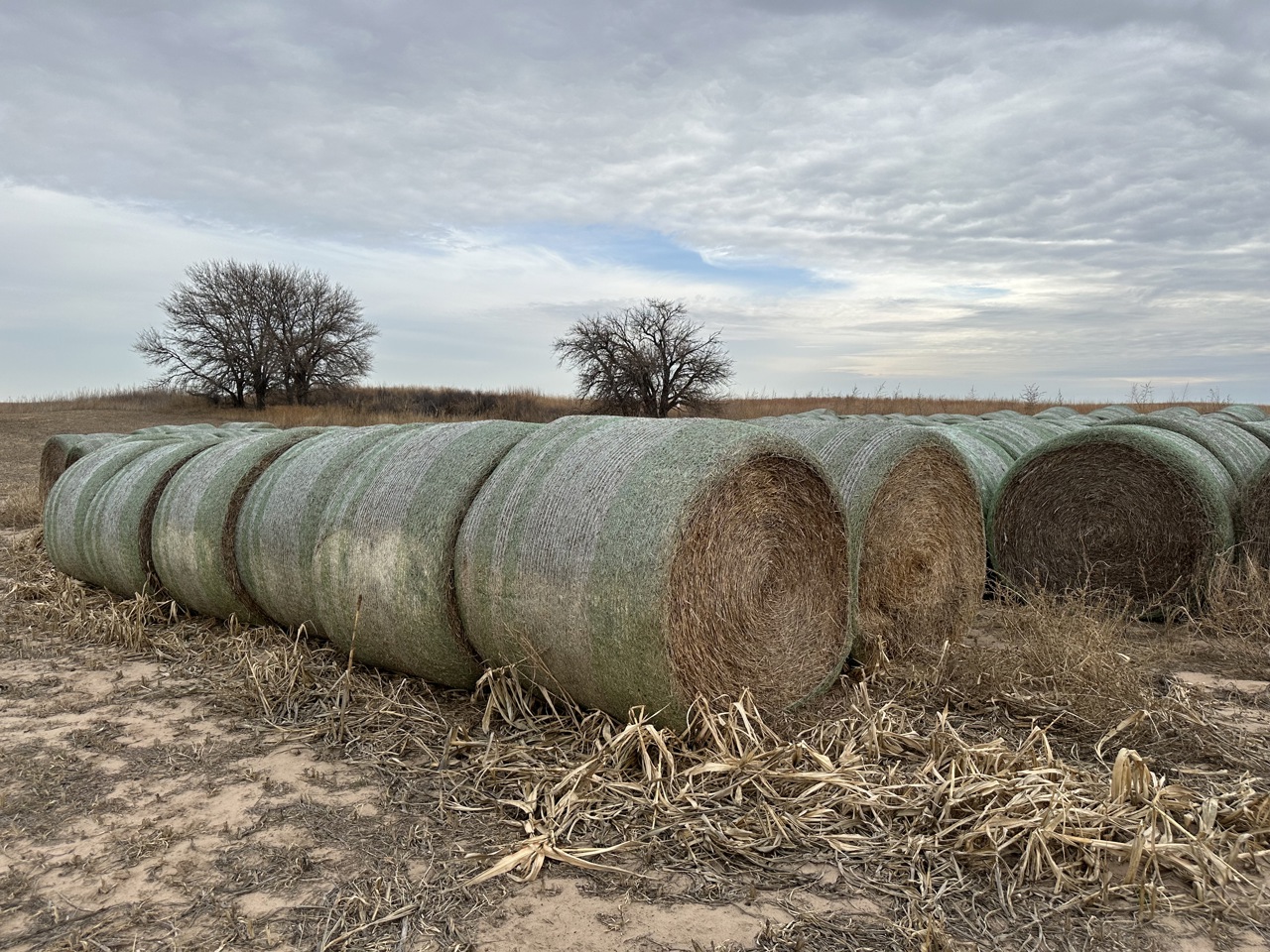 Steffes Group Salter Online Hay Auction Kansas Terms and Conditions