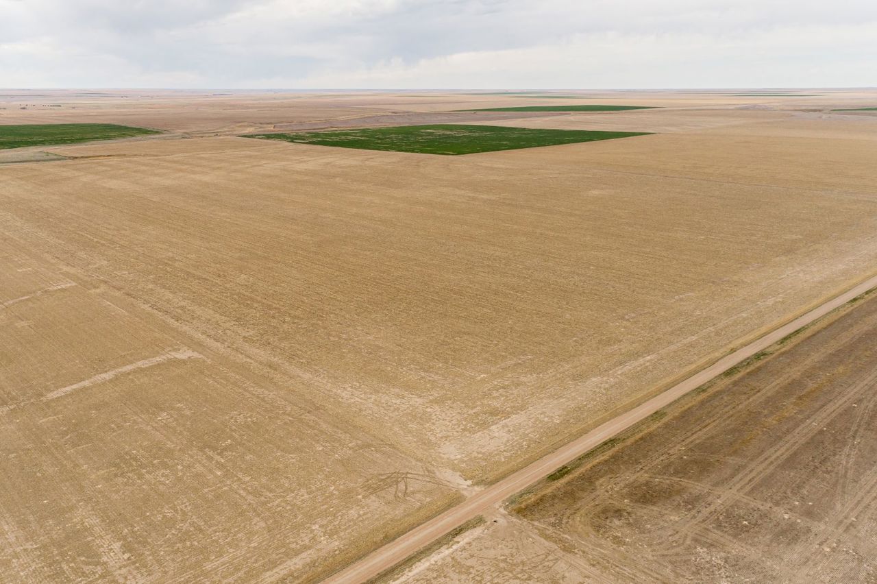 Steffes Group Logan County, KS Land Auction 160± Acres SOLD!!