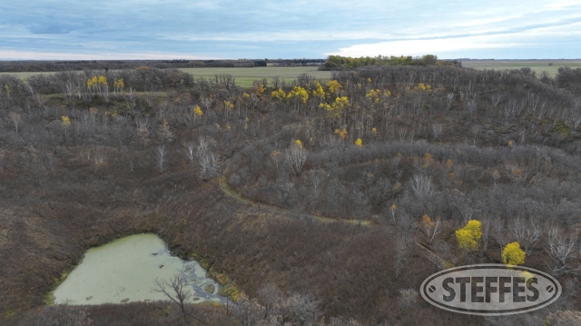 Cavalier County, ND Land Auction - 80± Acres