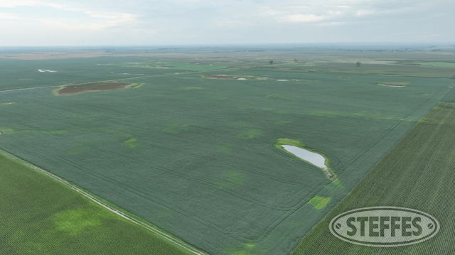 Dickey County, ND Land Auction - 160± Acres