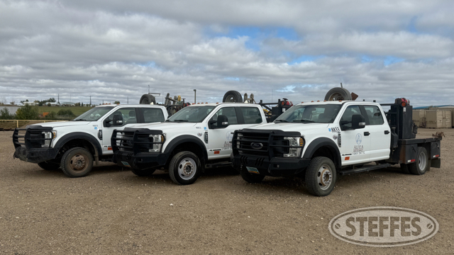 Alpha Roustabout Retirement Auction