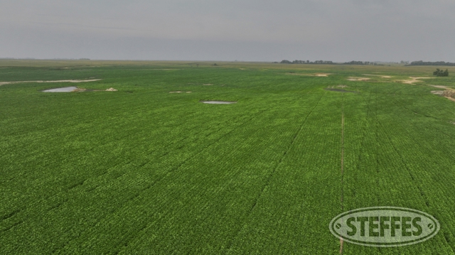 LaMoure County, ND Land Auction - 228± Acres