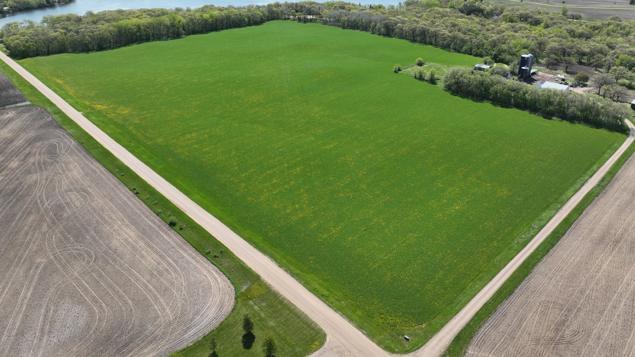 Steffes Group Meeker County, MN Land Listing 337± Acres SOLD!!!