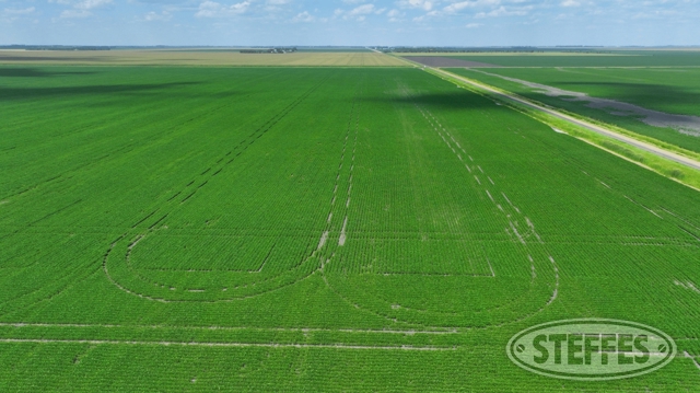 Cass County, ND Land Auction - 60± Acres - SOLD!!