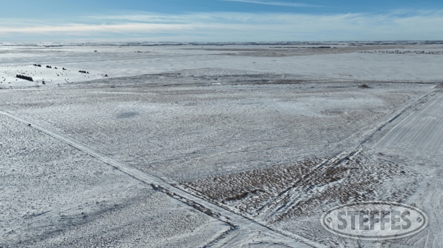 Renville County, ND Land Auction - 160± Acres - SOLD!!