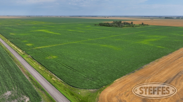 Norman County, MN Land Auction - 145± Acres