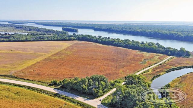 Louisa County, IA Land Auction - 43± Acres - SOLD!!