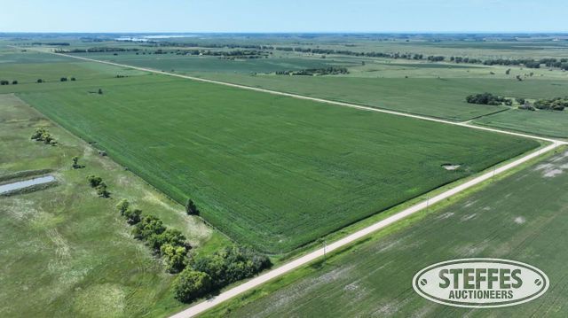 Traverse County, MN Land Auction - 80± Acres