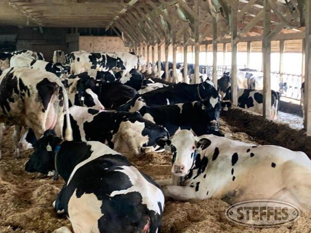 Doug Kerfeld Dairy Cattle Retirement Auction