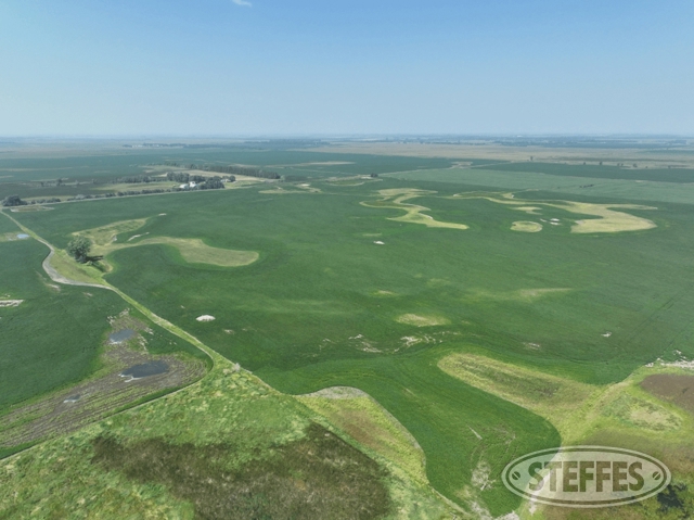 LaMoure County, ND Land Auction - 168± Acres - SOLD!!