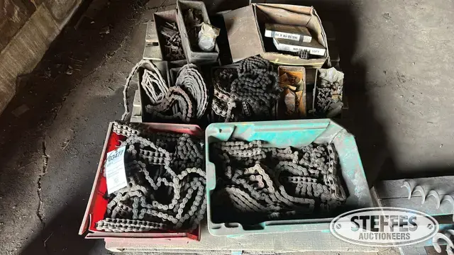 Roller chain
