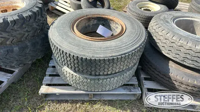 (2) 10.00R20 tires