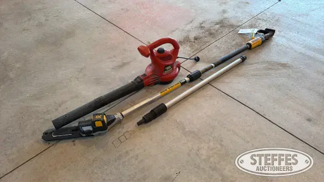 DeWalt DCPS620