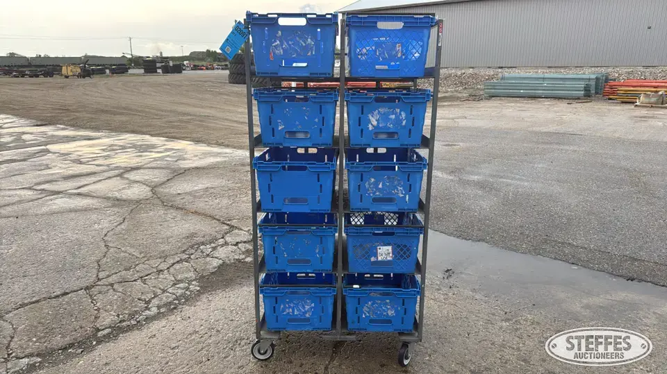 Rolling cart Storage and Bench