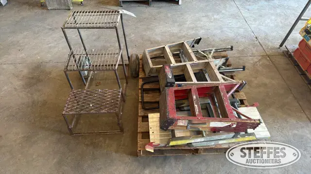 Ladders & step