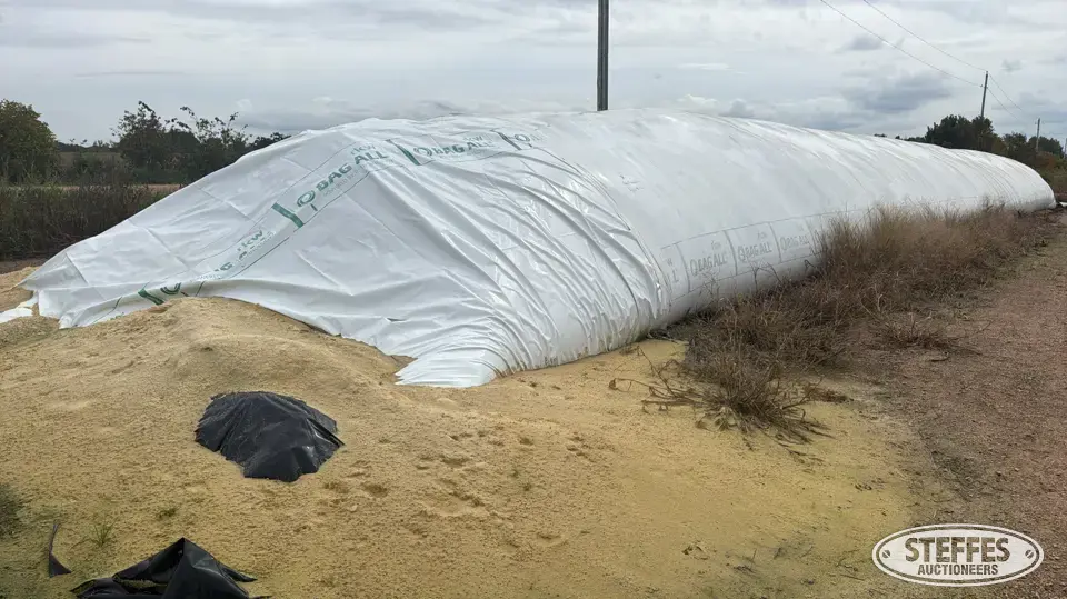 2025 High Moisture Shelled Corn Forage