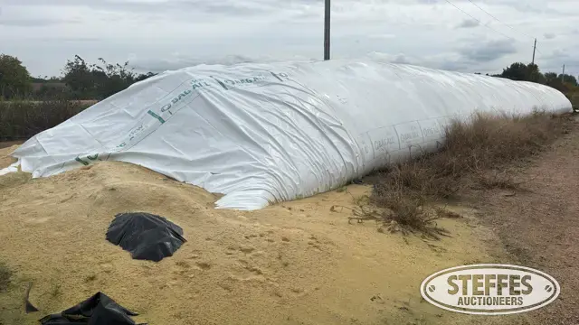2025 High Moisture Shelled Corn
