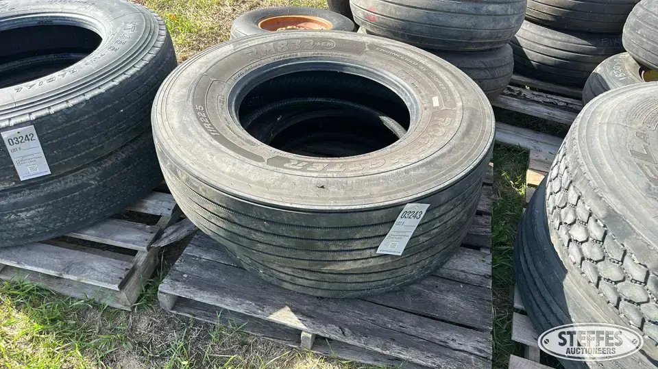 (2) 11R22.5 tires Truck Tire