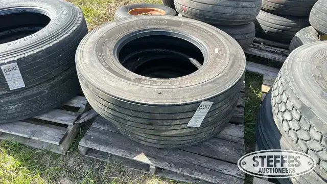 (2) 11R22.5 tires