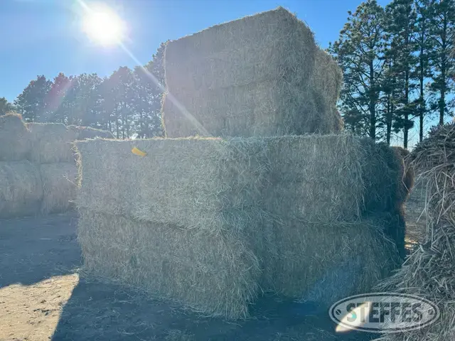 (24 Bales) 3x3x8 sq.