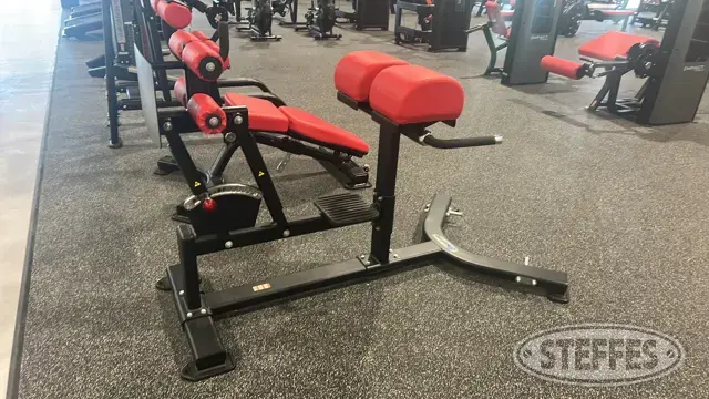 Nautilus Hyperextention/glute developer