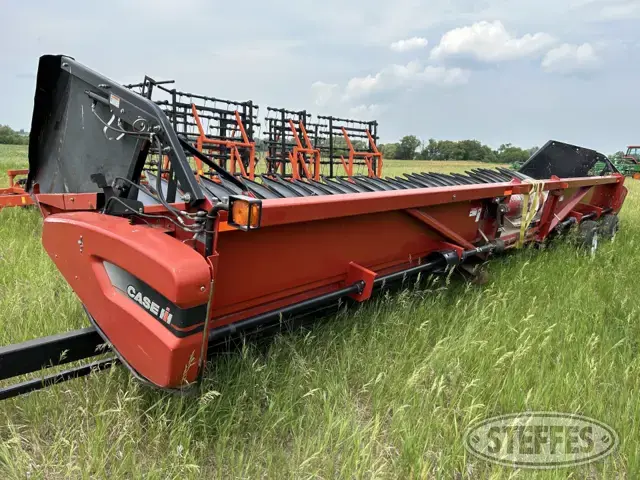 2010 Case IH 2020