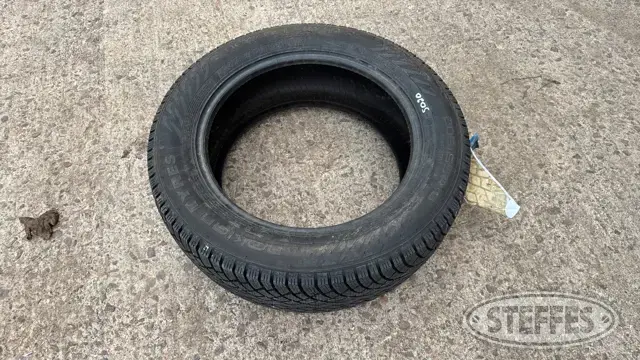 (1) Nokian 205/55R16 tire