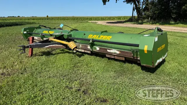 Balzer 2000