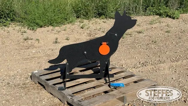 Pabreak shooting target