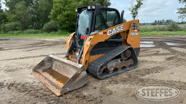 2019 Case TR310