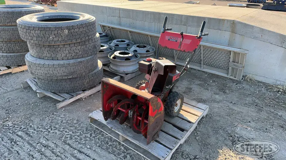 MTD 317E644E129 Self-Propelled Snowblower