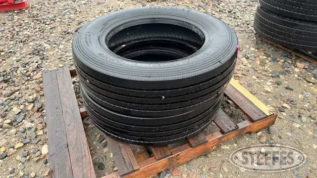 (2) Roadmaster RM170 225/70R19.5 tires