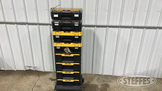 Asst. DeWalt T-stack boxes