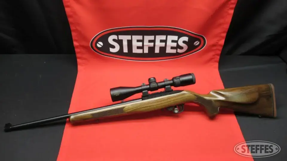 Ruger 10/22 Rifle