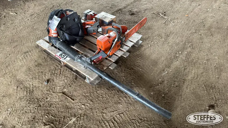 Chainsaws & leaf blower Power Tool