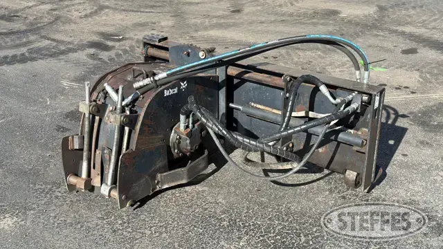Bobcat