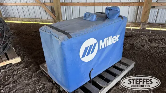 Miller Bobcat 250 EFI