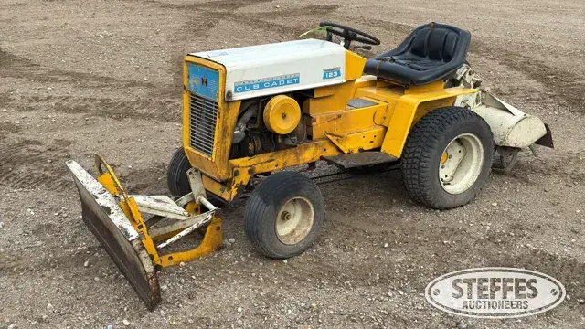 International Cub Cadet 123